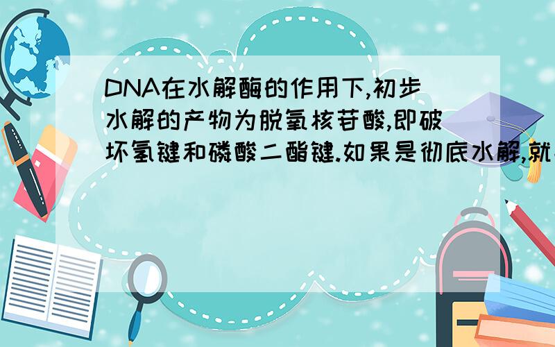 DNA在水解酶的作用下,初步水解的产物为脱氧核苷酸,即破坏氢键和磷酸二酯键.如果是彻底水解,就能分解那 那两种酶是什么 如果只说是水解酶是什么