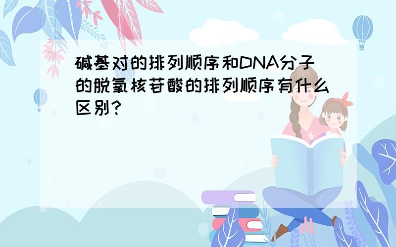 碱基对的排列顺序和DNA分子的脱氧核苷酸的排列顺序有什么区别?