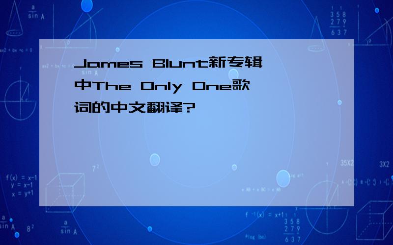 James Blunt新专辑中The Only One歌词的中文翻译?