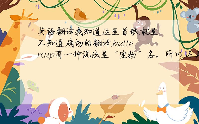 英语翻译我知道这是首歌，就是不知道确切的翻译，buttercup有一种说法是“宠物”名。所以，还真不好确定。