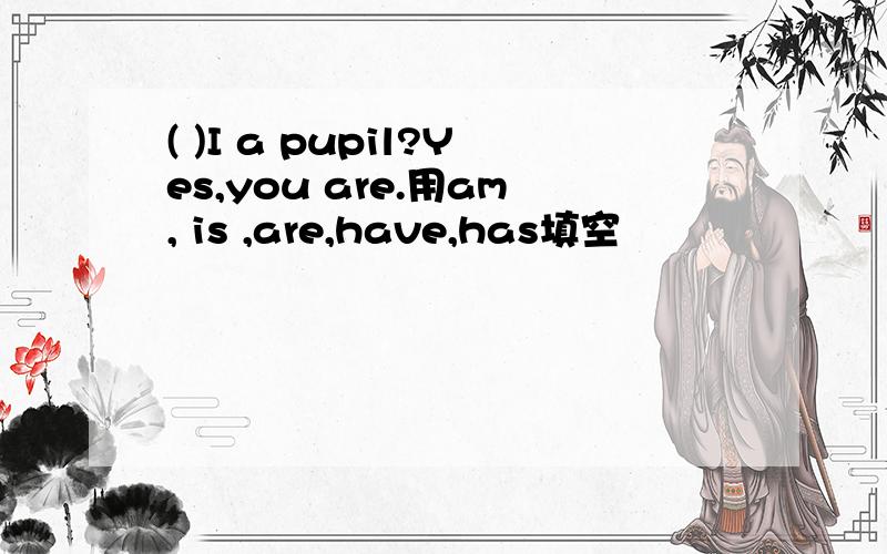 ( )I a pupil?Yes,you are.用am, is ,are,have,has填空
