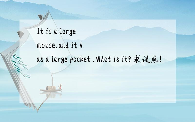 It is a large mouse,and it has a large pocket .What is it?求谜底!