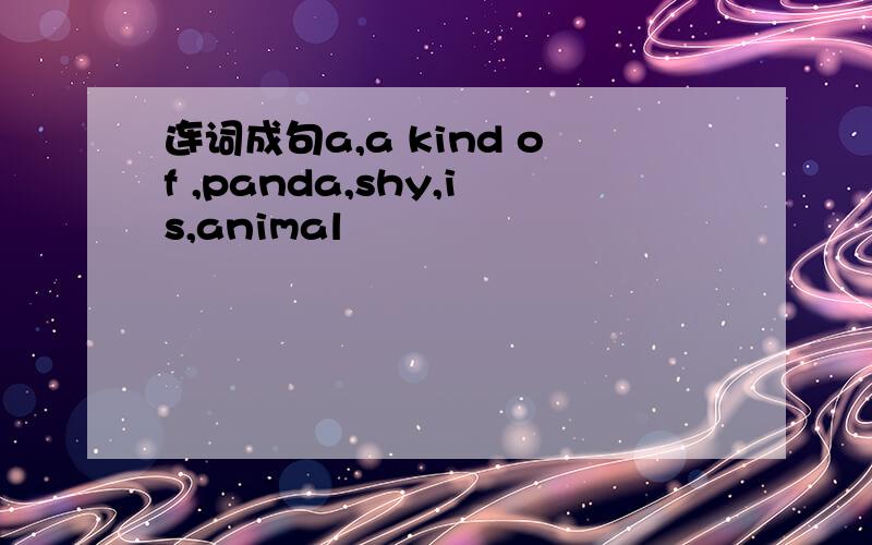 连词成句a,a kind of ,panda,shy,is,animal