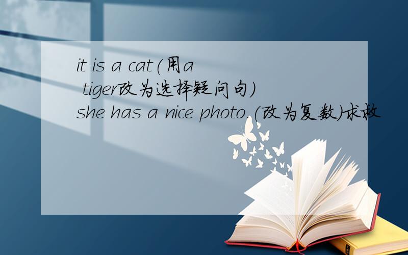 it is a cat(用a tiger改为选择疑问句）she has a nice photo.(改为复数）求救