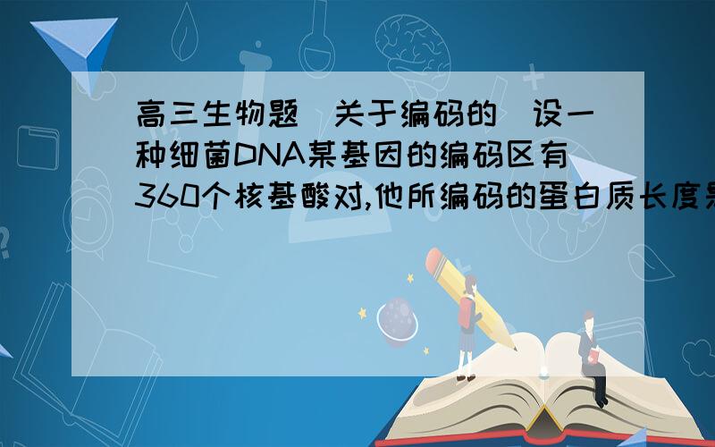 高三生物题（关于编码的）设一种细菌DNA某基因的编码区有360个核基酸对,他所编码的蛋白质长度是（ ）A约360个氨基酸 B整120个氨基酸C少于120个氨基酸 D约1080个氨基酸