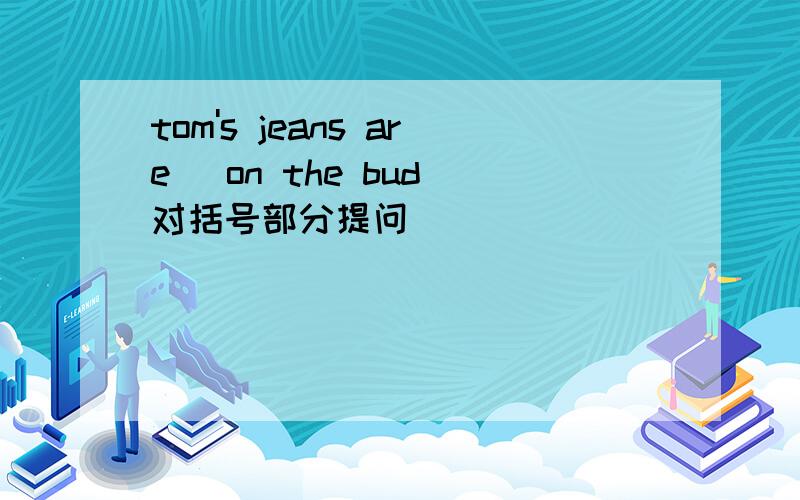tom's jeans are (on the bud)对括号部分提问