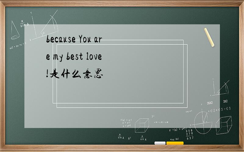 because You are my best love!是什么意思
