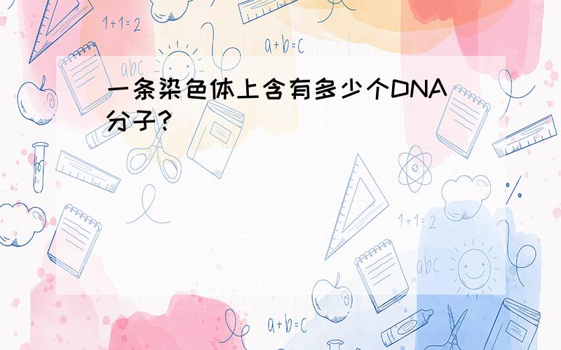 一条染色体上含有多少个DNA分子?
