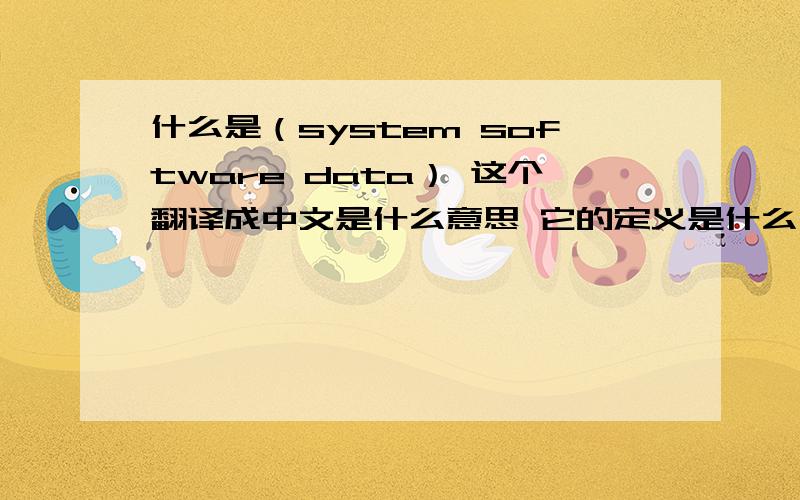什么是（system software data） 这个翻译成中文是什么意思 它的定义是什么