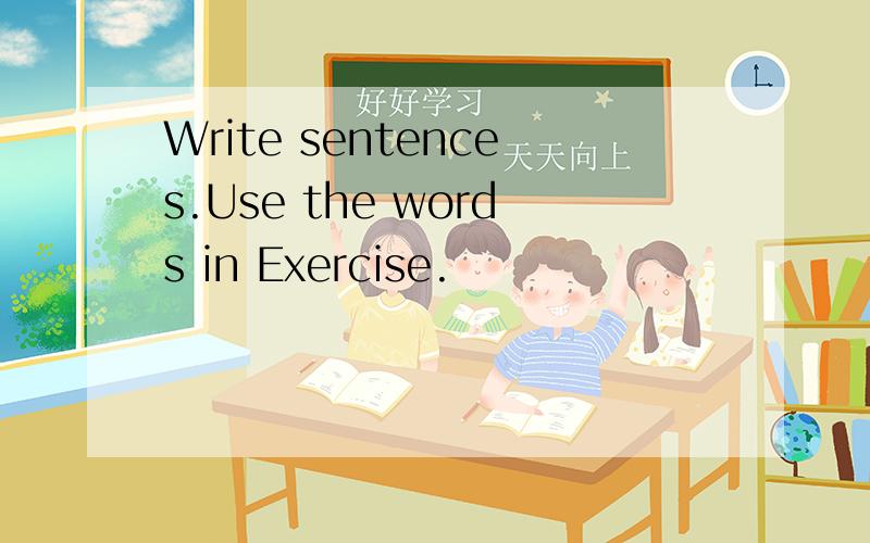 Write sentences.Use the words in Exercise.