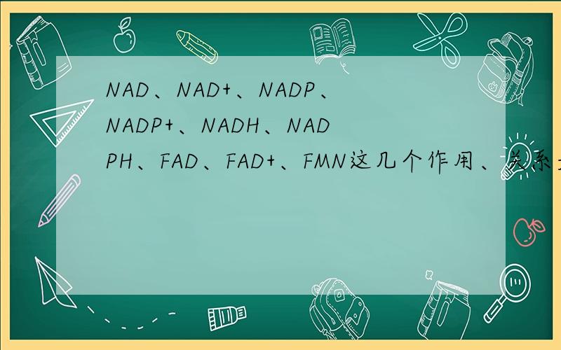 NAD、NAD+、NADP、NADP+、NADH、NADPH、FAD、FAD+、FMN这几个作用、关系是什么?如题