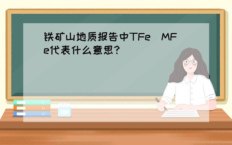 铁矿山地质报告中TFe`MFe代表什么意思?