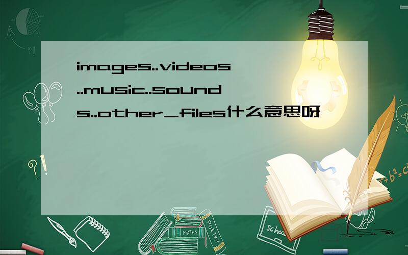 images..videos..music..sounds..other_files什么意思呀