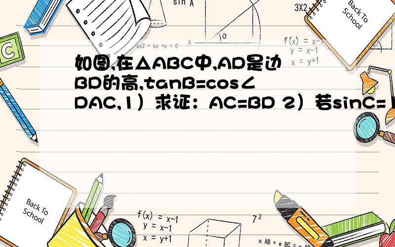 如图,在△ABC中,AD是边BD的高,tanB=cos∠DAC,1）求证：AC=BD 2）若sinC=12/13,BC=12,求AD的长