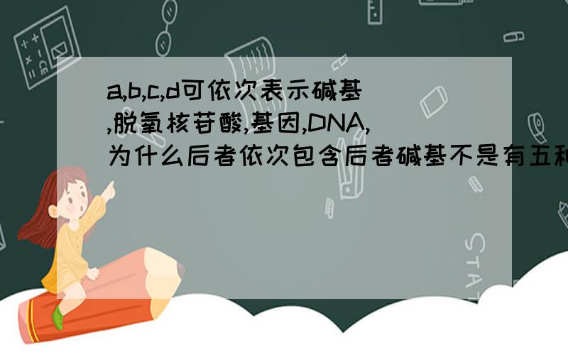 a,b,c,d可依次表示碱基,脱氧核苷酸,基因,DNA,为什么后者依次包含后者碱基不是有五种么,脱氧核苷酸不是指有四种?