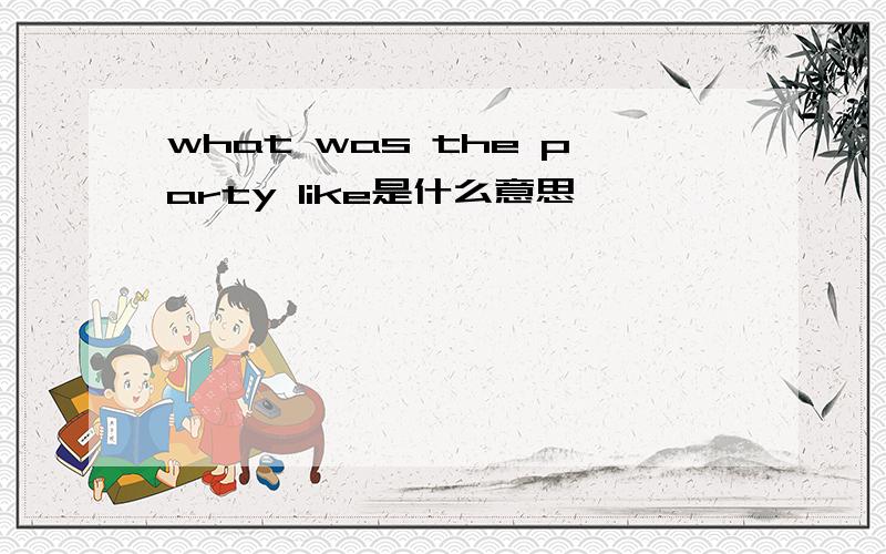 what was the party like是什么意思