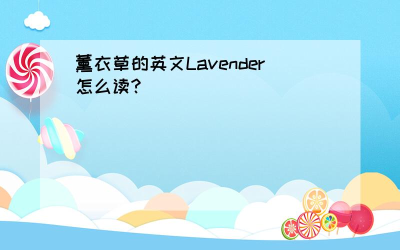 薰衣草的英文Lavender怎么读?
