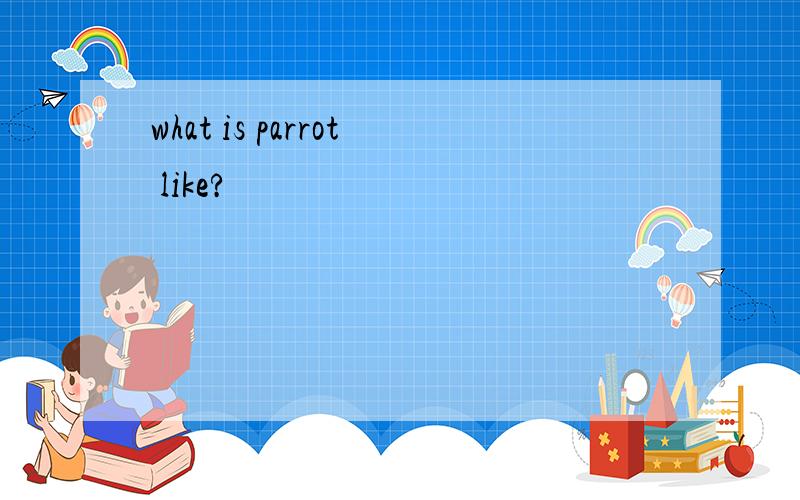 what is parrot like?