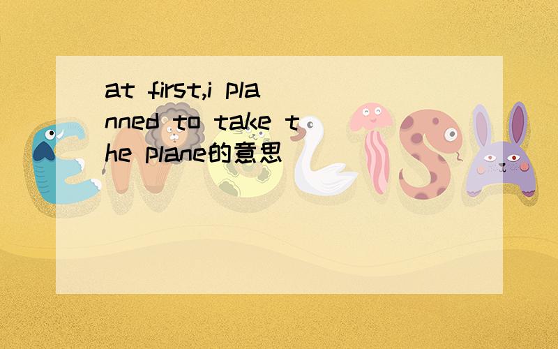 at first,i planned to take the plane的意思