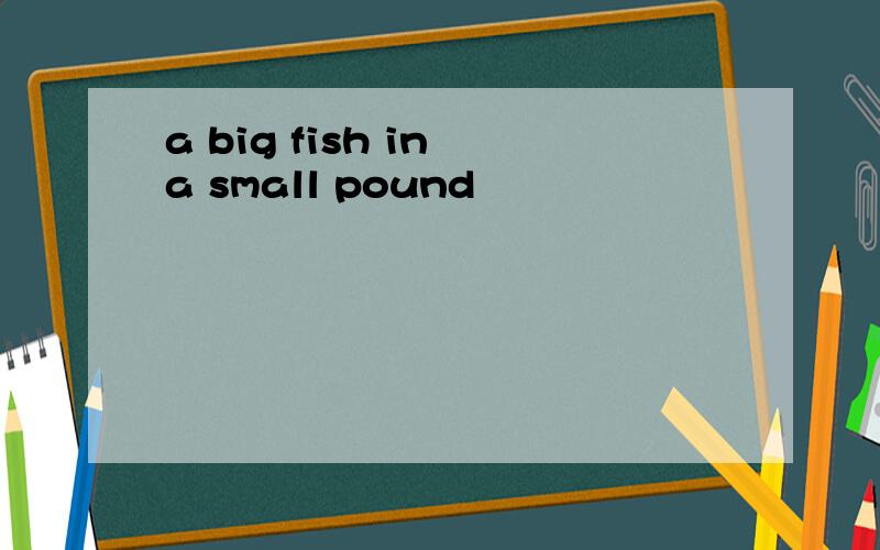 a big fish in a small pound