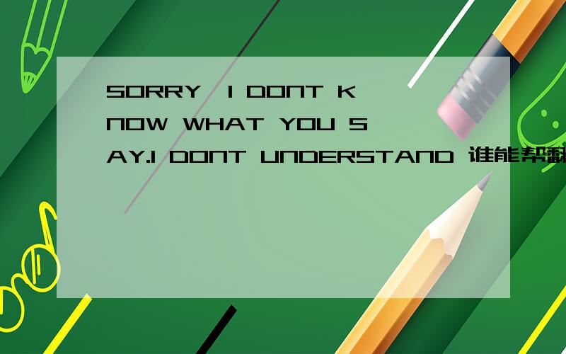 SORRY,I DONT KNOW WHAT YOU SAY.I DONT UNDERSTAND 谁能帮翻译下.