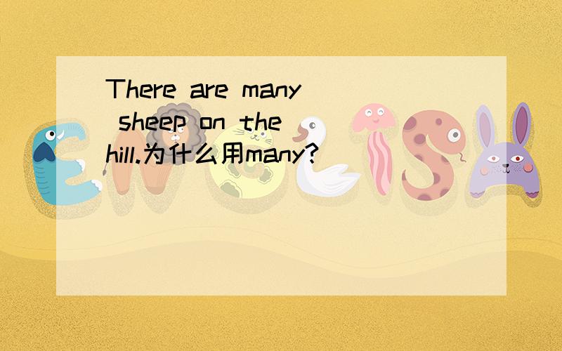 There are many sheep on the hill.为什么用many?