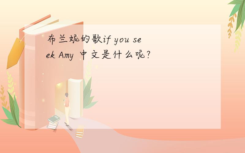 布兰妮的歌if you seek Amy 中文是什么呢?
