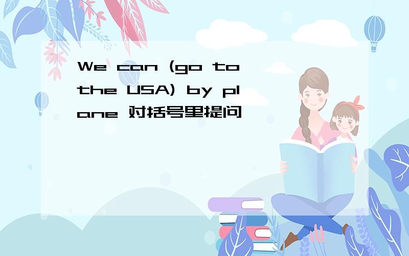 We can (go to the USA) by plane 对括号里提问