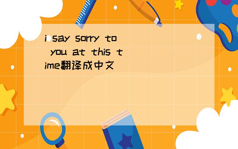 i say sorry to you at this time翻译成中文