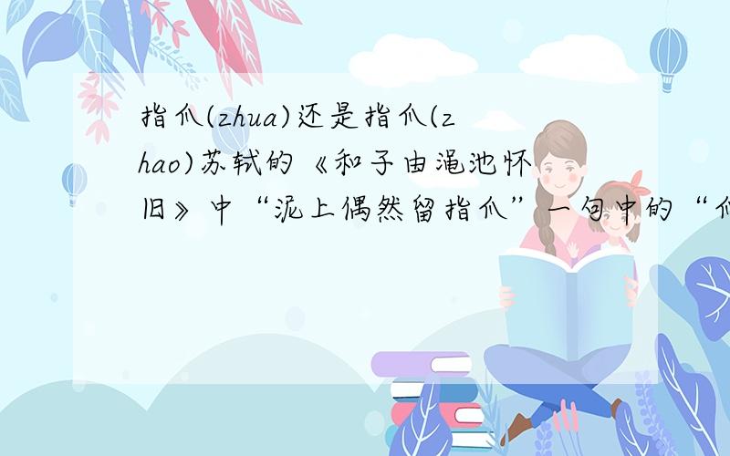 指爪(zhua)还是指爪(zhao)苏轼的《和子由渑池怀旧》中“泥上偶然留指爪”一句中的“爪”应读zhua还是zhao啊?我要的是具体答案，那些有的没的就不用拽了啊，就告诉我背诗时应该读哪个音就
