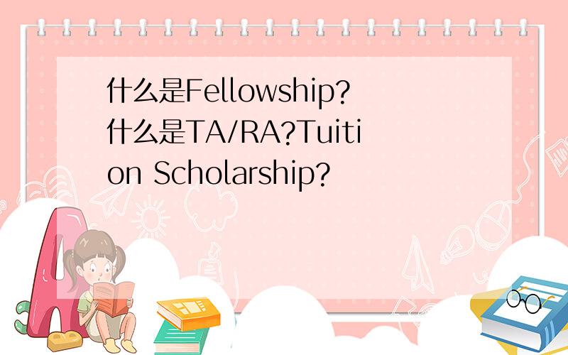 什么是Fellowship?什么是TA/RA?Tuition Scholarship?