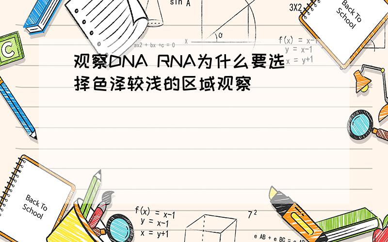 观察DNA RNA为什么要选择色泽较浅的区域观察