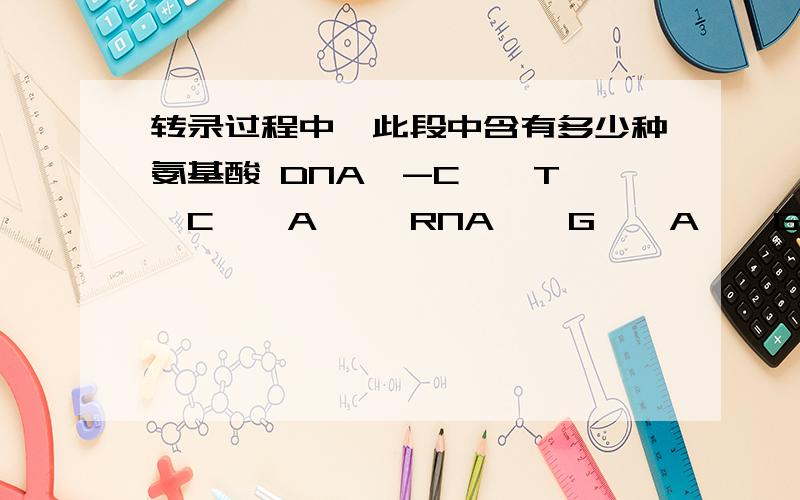 转录过程中,此段中含有多少种氨基酸 DNA—-C——T——C——A—— RNA——G——A——G——U—— 为什么?