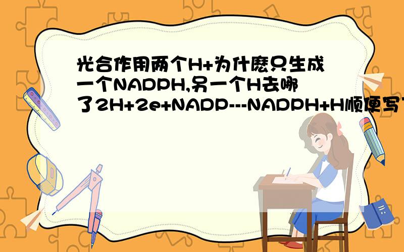 光合作用两个H+为什麽只生成一个NADPH,另一个H去哪了2H+2e+NADP---NADPH+H顺便写下H参与的反应