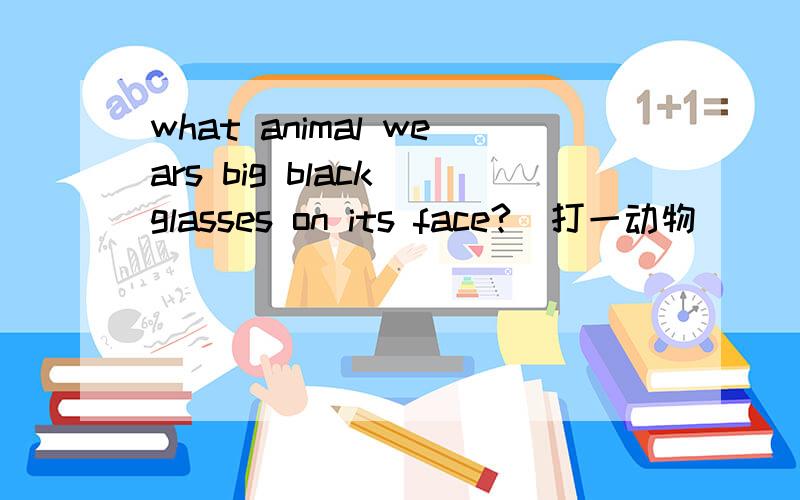 what animal wears big black glasses on its face?(打一动物）
