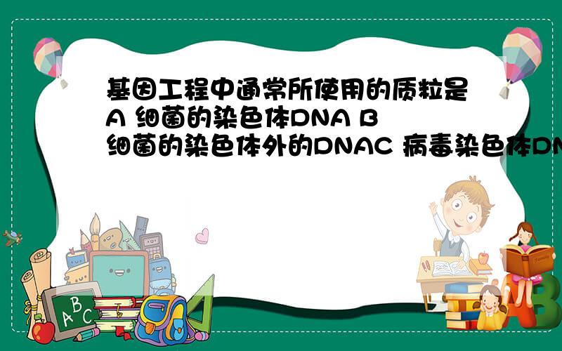 基因工程中通常所使用的质粒是A 细菌的染色体DNA B 细菌的染色体外的DNAC 病毒染色体DNA D 噬菌体的DNA为什么啊.细菌有染色体么?