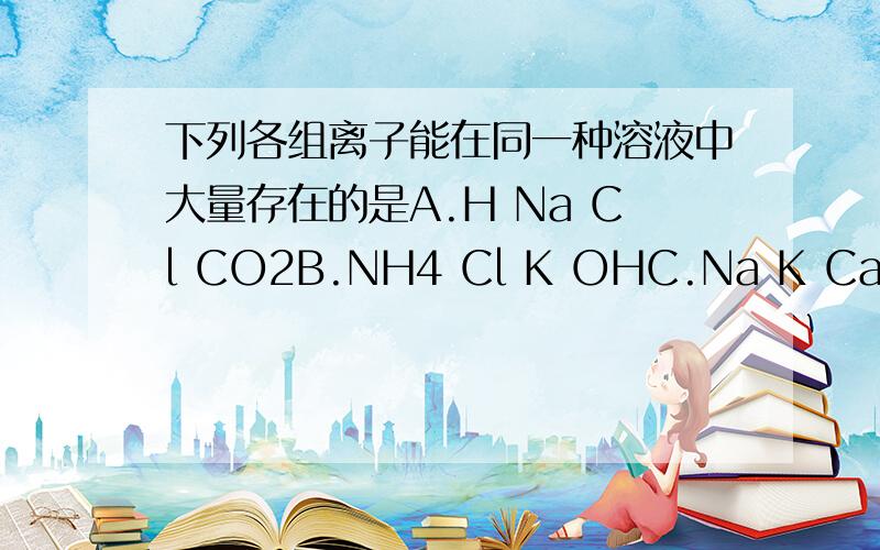下列各组离子能在同一种溶液中大量存在的是A.H Na Cl CO2B.NH4 Cl K OHC.Na K Ca ClD.Ag H NO3 Cl