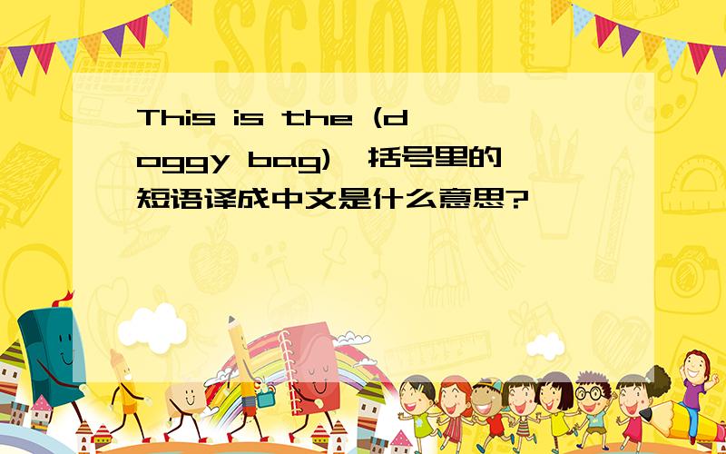 This is the (doggy bag),括号里的短语译成中文是什么意思?