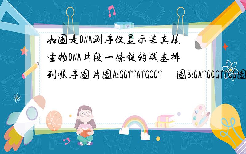 如图是DNA测序仪显示某真核生物DNA片段一条链的碱基排列顺序图片图A：GGTTATGCGT     图B：GATGCGTTCG图A所示碱基序列所对应的DNA片段第n次复制需游离的胸腺嘧啶脱氧核苷酸4乘上[2的(n-1)次方]个