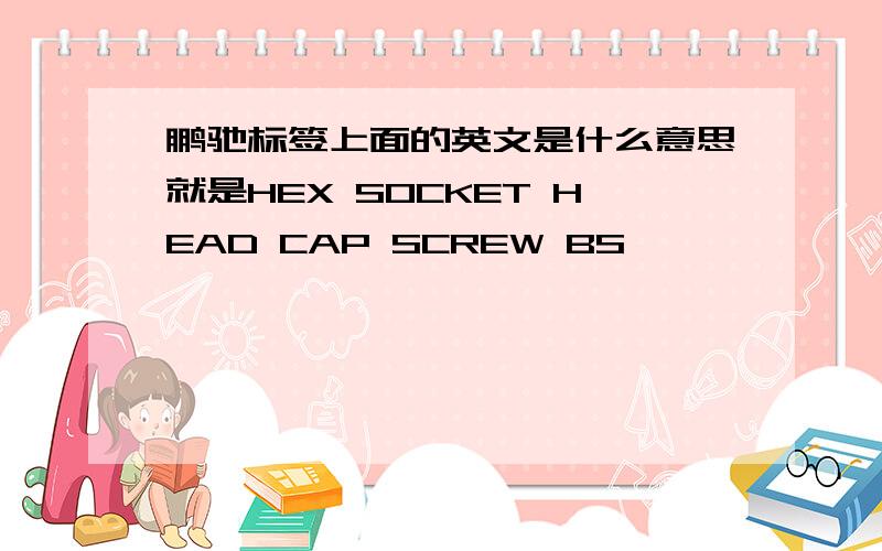 鹏驰标签上面的英文是什么意思就是HEX SOCKET HEAD CAP SCREW BS