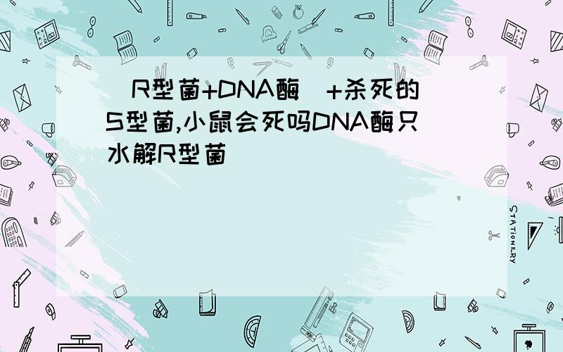 （R型菌+DNA酶）+杀死的S型菌,小鼠会死吗DNA酶只水解R型菌
