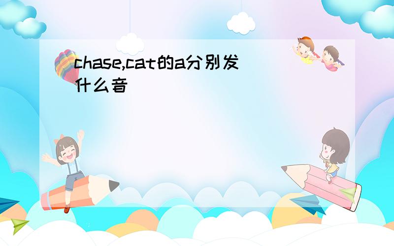 chase,cat的a分别发什么音