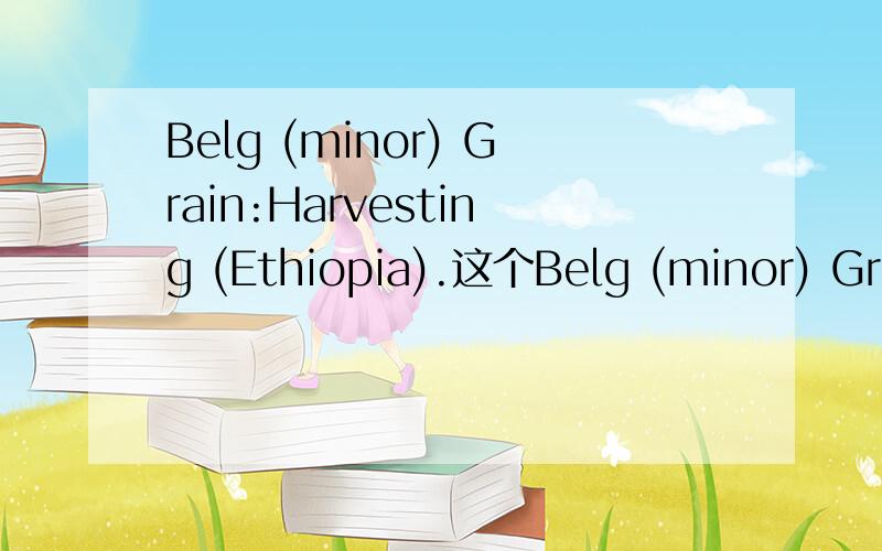 Belg (minor) Grain:Harvesting (Ethiopia).这个Belg (minor) Grain是什么农作物?