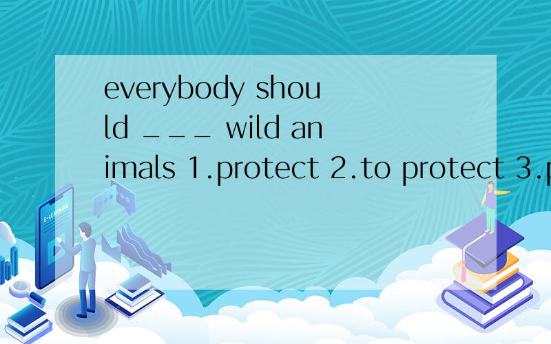 everybody should ___ wild animals 1.protect 2.to protect 3.proteceing 4.propected