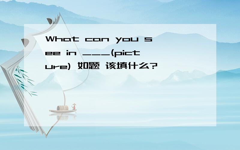 What can you see in ___(picture) 如题 该填什么?