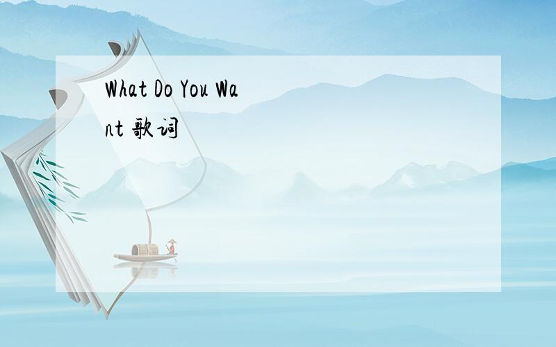 What Do You Want 歌词