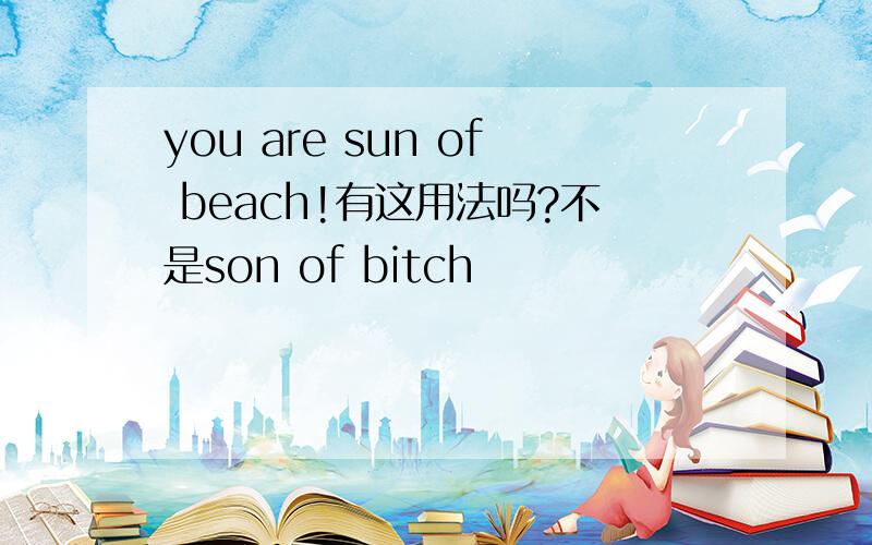 you are sun of beach!有这用法吗?不是son of bitch