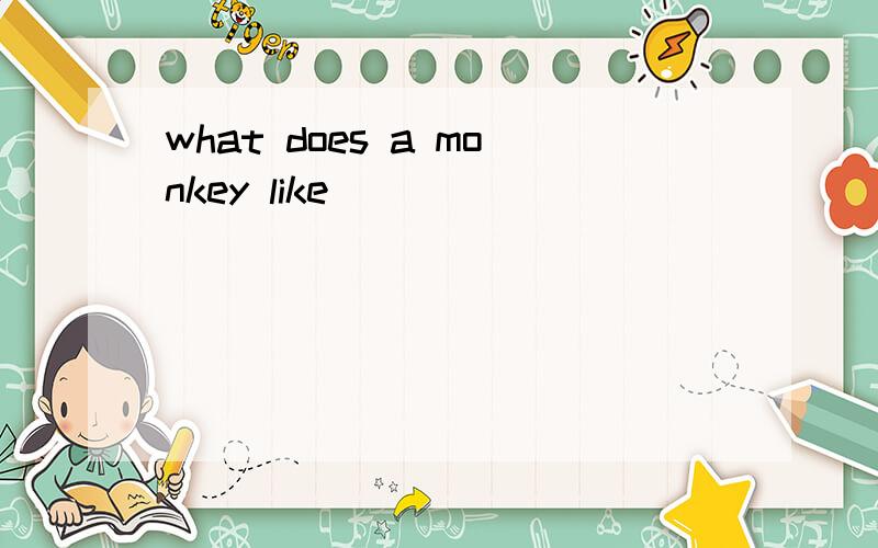 what does a monkey like