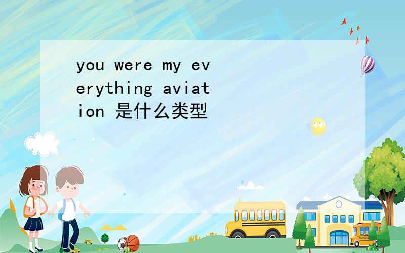 you were my everything aviation 是什么类型