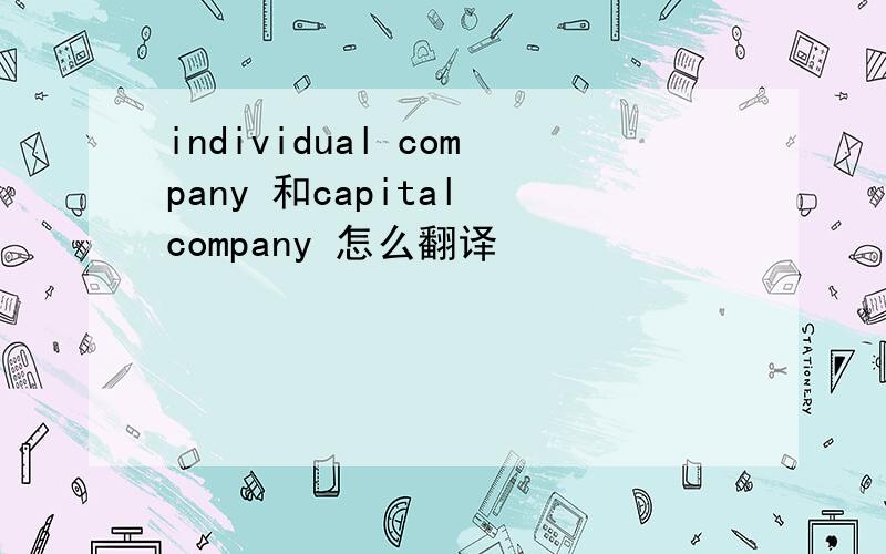 individual company 和capital company 怎么翻译